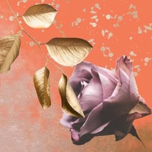 Meet your Posher, Nuria